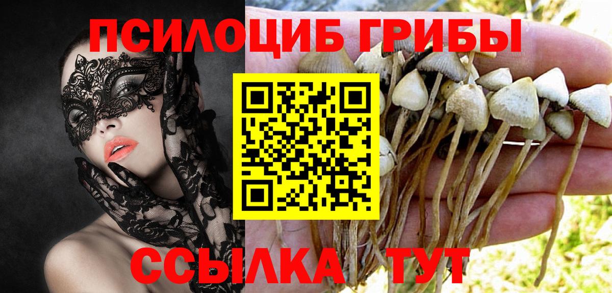 Михайловск  Псилоцибиновые грибы мицелий  Вход с VPN 