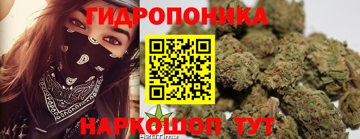 Шишки марихуана LSD WEED  Бошки марихуана семена  Вход с VPN  Михайловск  МАРИХУАНА VHQ 